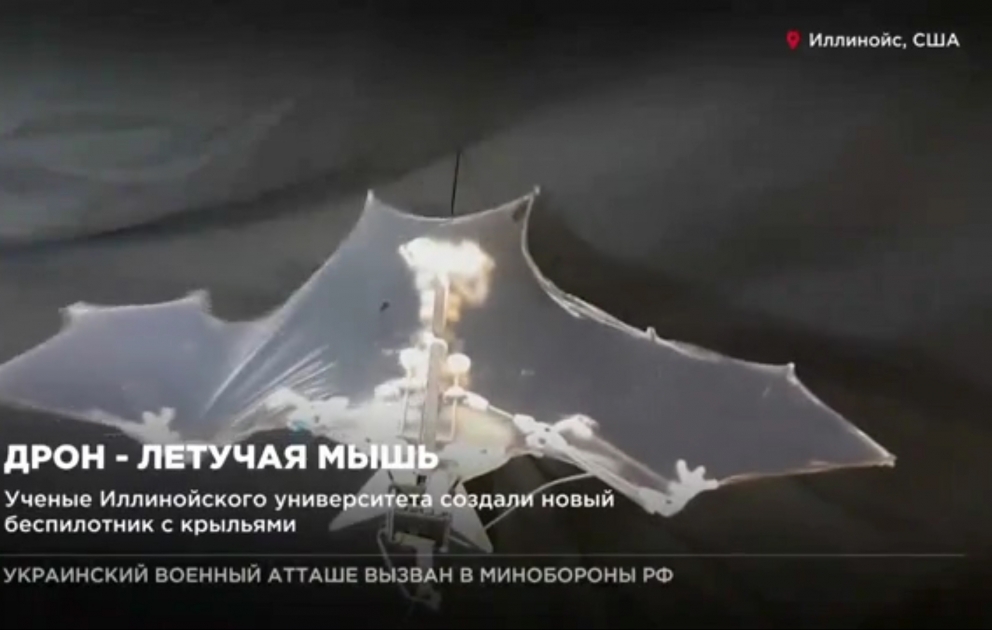 В Швейцарии создан дрон-летучая мышь