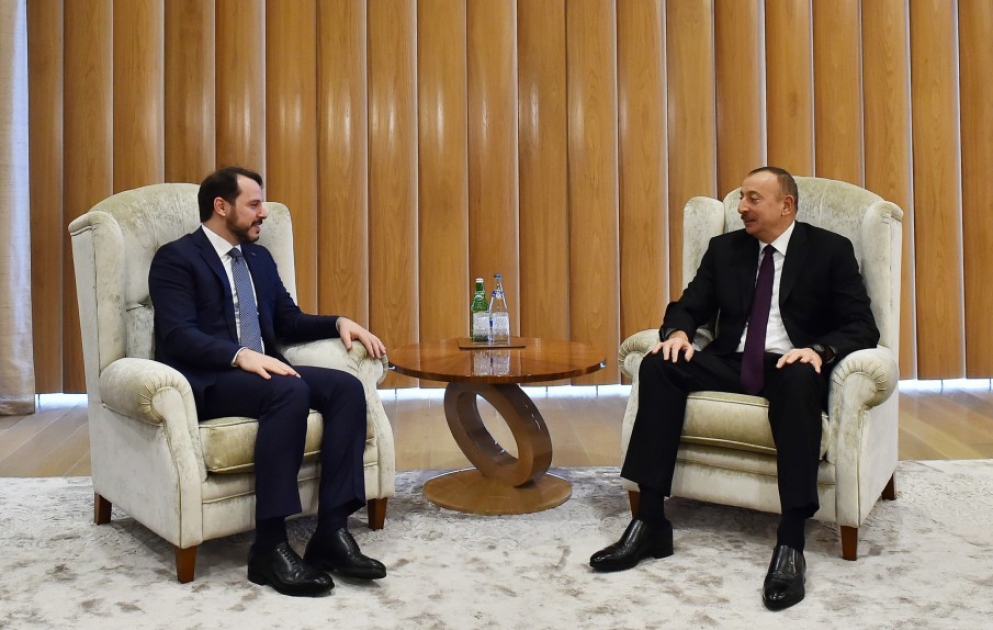 Le président Ilham Aliyev a reçu le ministre turc de l'Energie et des Ressources naturelles