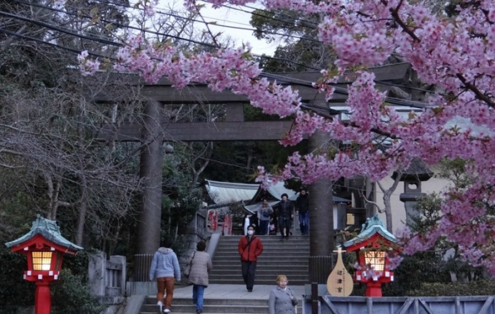 Yaponiyanın əfsanəvi Enoşima adasında Ume matsuri