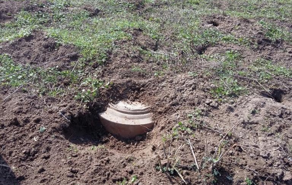 Cocuq Mərcanlıda xeyli sayda partlamamış sursat tapılıb