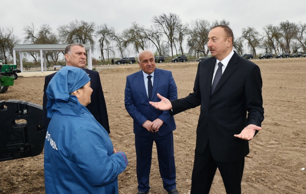 Präsident Ilham Aliyev besucht Baumwollfeld in Saatli