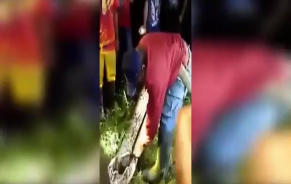 İndoneziyada itmiş insan pitonun qarnında tapılıb