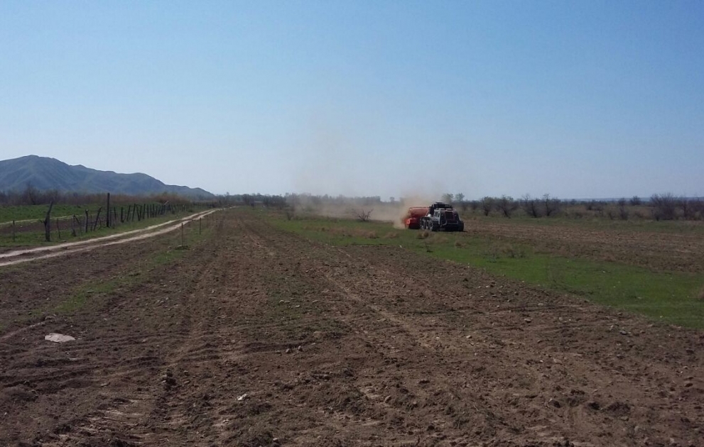 Cocuq Mərcanlıda 1479 ədəd qəlpə aşkar edilib