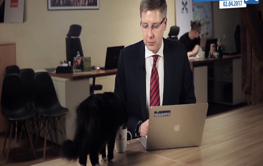 Canlı yayım zamanı pişik studiyaya girdi