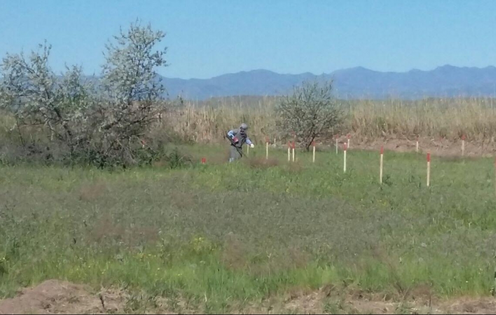 В селе Джоджуг Марджанлы обнаружено несколько снарядов