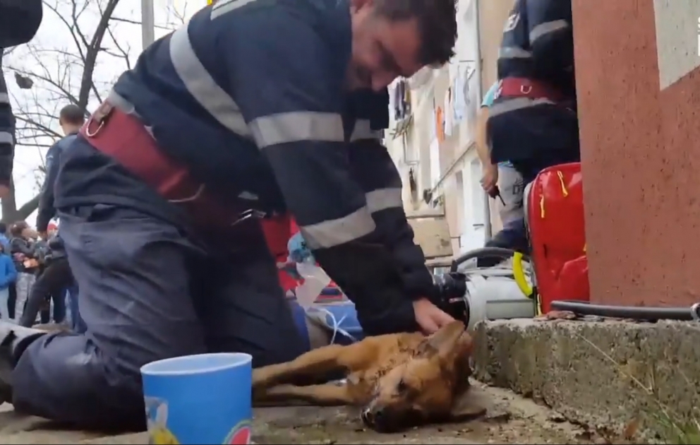 Incredible firefighters try every thing to save a dog from burning building