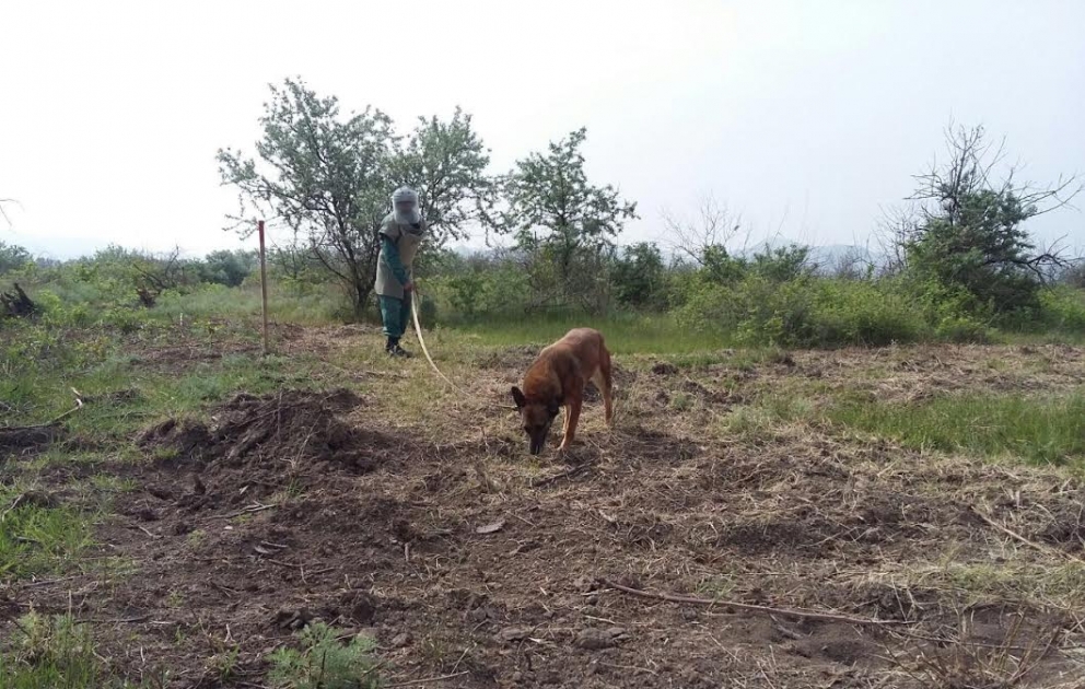 Cocuq Mərcanlıda partlamamış hərbi sursatlar tapılıb