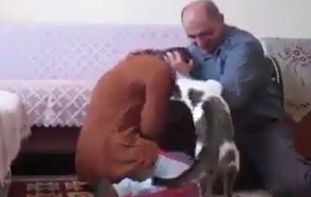 Qadına qarşı şiddətə yox deyən pişik