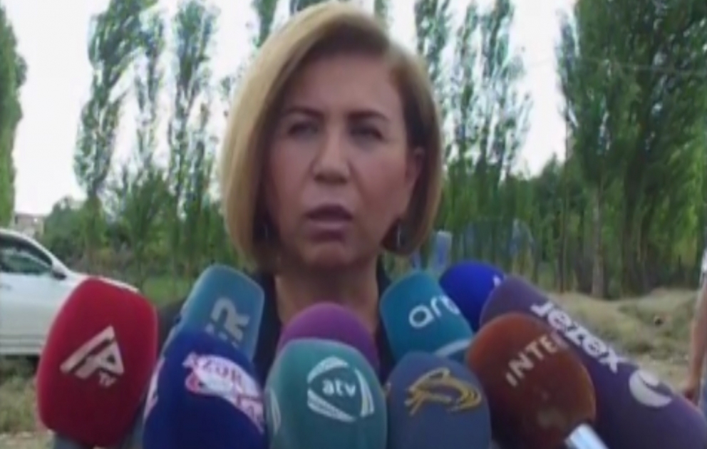 Bahar Muradova: Düşmən istədiyini əldə edə bilmədi, dünya ictimaiyyəti Ermənistanın təcavüzkar siyasətinin bir daha şahidi oldu