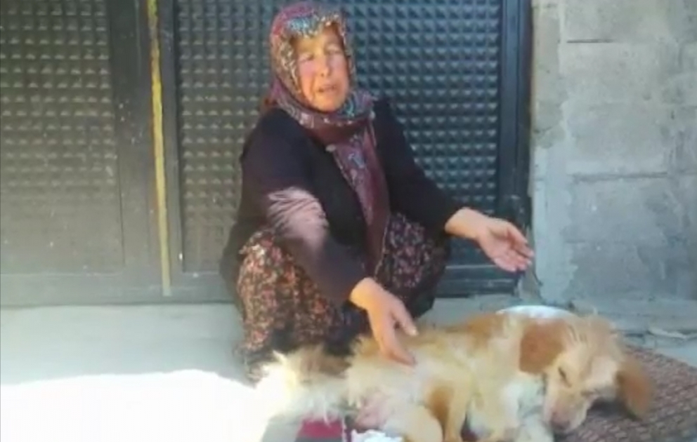 Bu qadın iflic olmuş itinə öz uşağı kimi baxır
