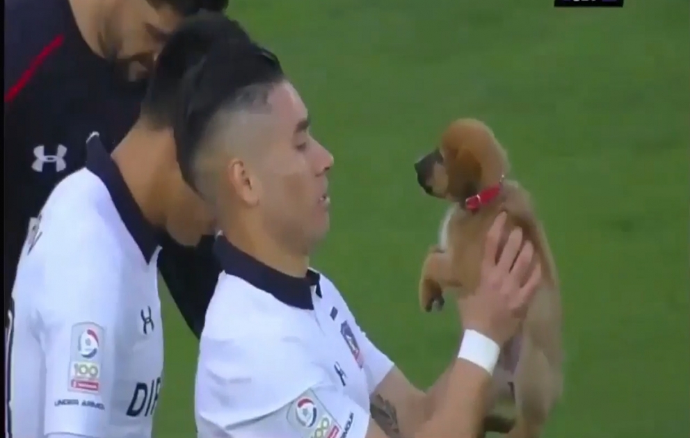 Futbolçular meydana küçə itləriylə çıxdılar