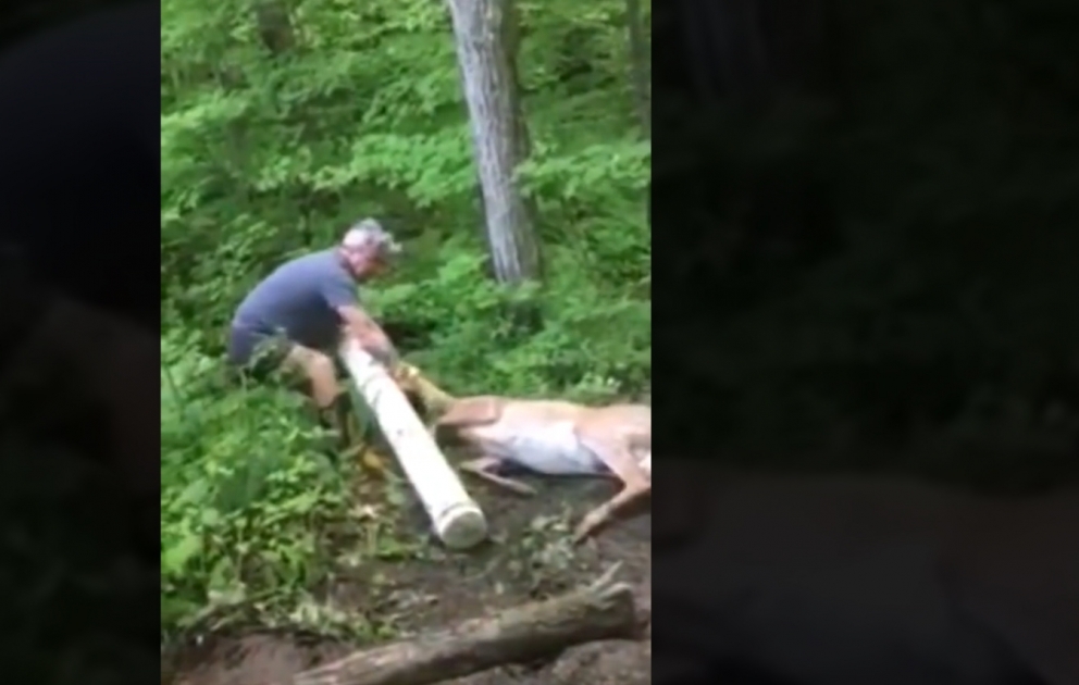 He got rescued just in time
