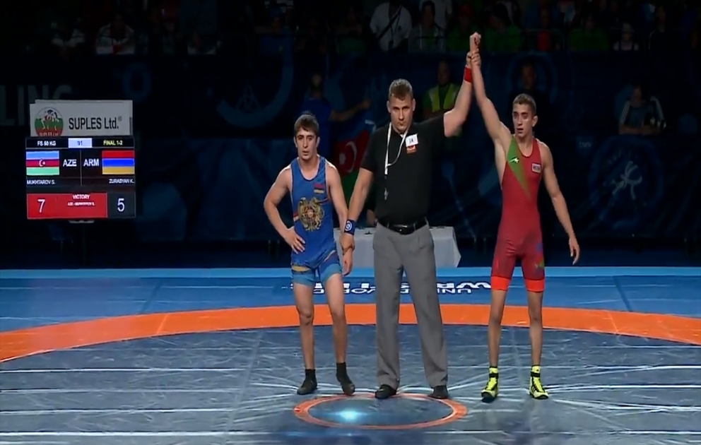 Aserbaidschans Ringer holt Gold bei WM in Finnland