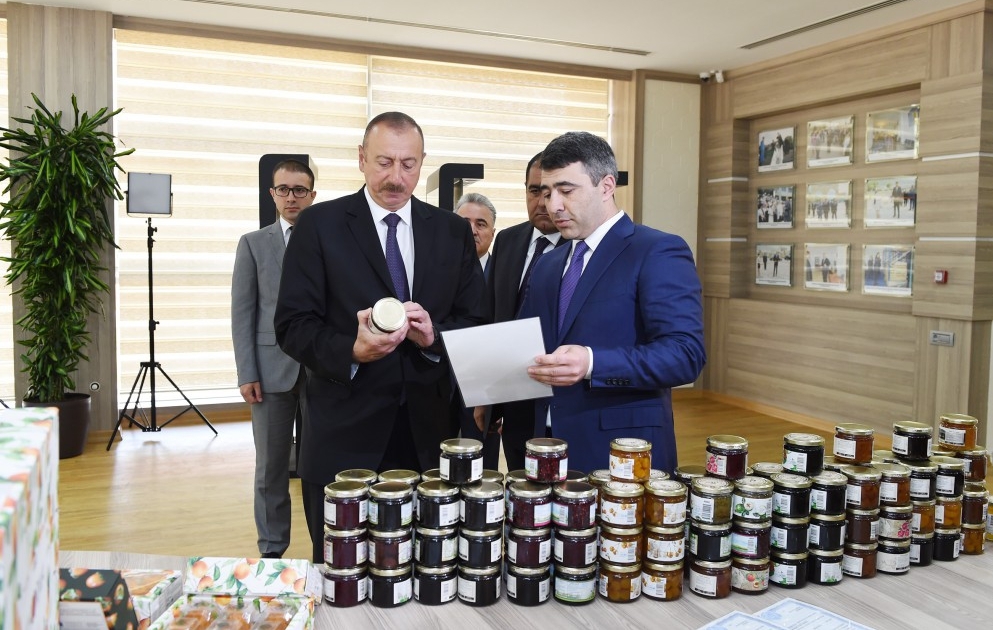 Prezident İlham Əliyev Balakəndə “ABAD Mərkəz”in açılışında iştirak edib