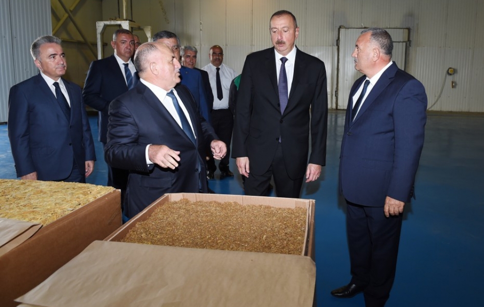Le président Ilham Aliyev visite une usine de traitement du tabac à Zagatala