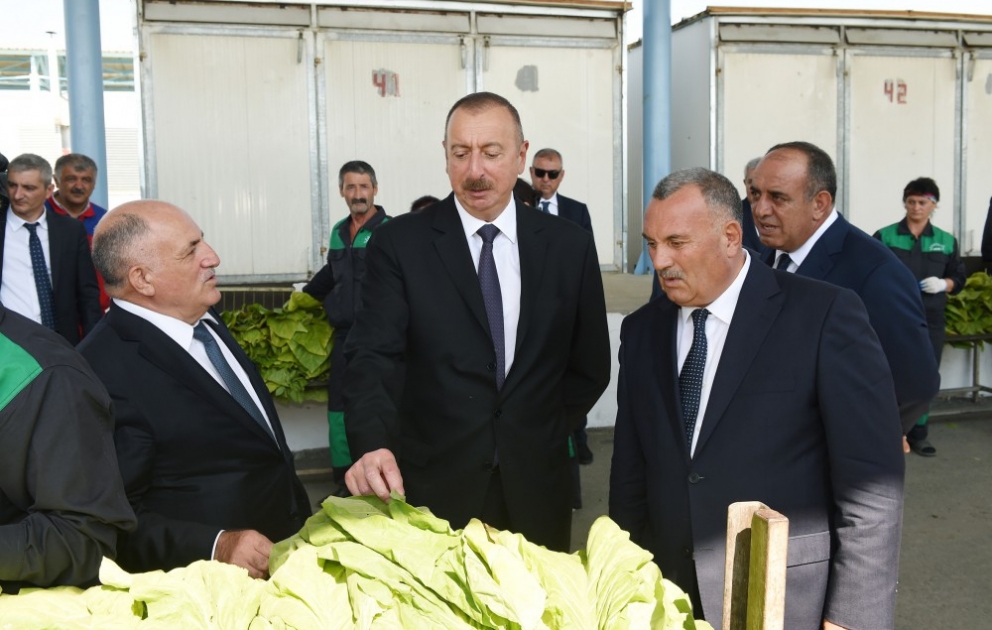 Qaxda tütün qəbulu məntəqəsində yaradılan şəraitlə tanışlıq
