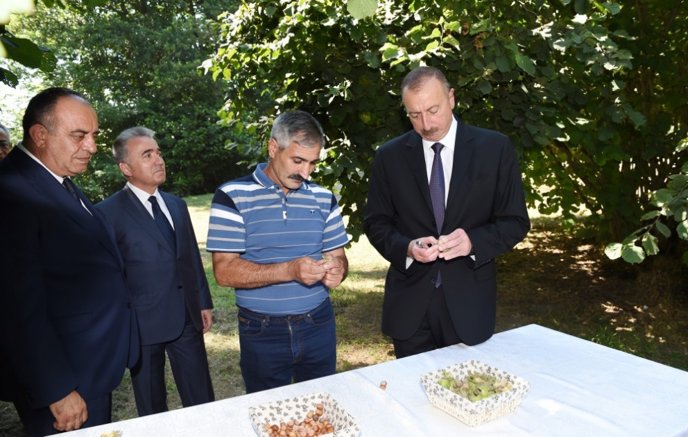 Gakh : visite d’une plantation de noisetiers dans le village de Lélépacha