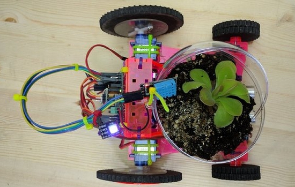 İlk robot bitki təqdim edilib