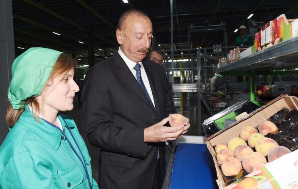 Prezident İlham Əliyev “Şəmkir Aqroparkı”nın Logistika Mərkəzinin açılışında iştirak edib