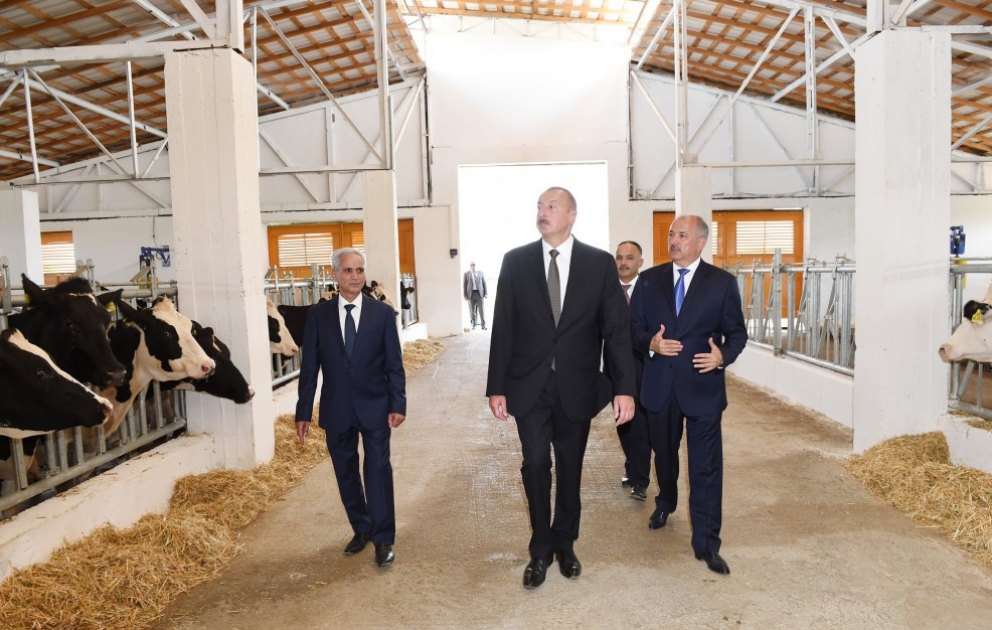 Prezident İlham Əliyev Cəlilabadda “Günəşli-Aqro” MMC-nin aqroparkında yaradılan şəraitlə tanış olub