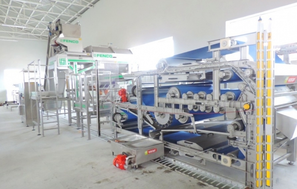 Goranboyda nar konsentratı innovativ metodlarla emal olunacaq