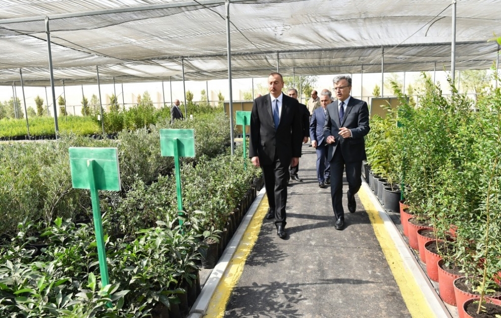 Salyan: le président Ilham Aliyev visite le complexe du dessalement de l'eau de mer dans le village de Khydyrly