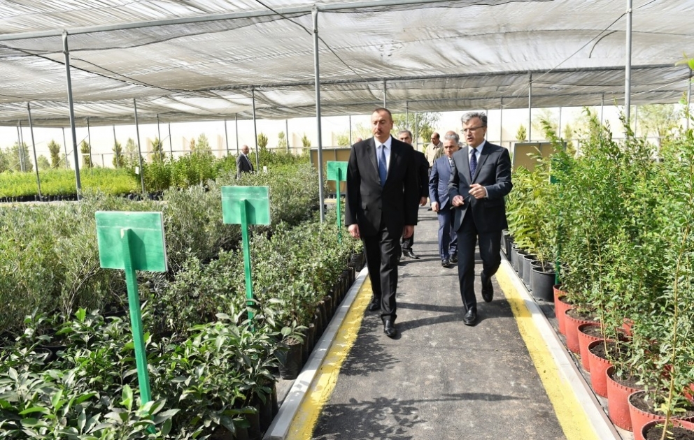 President Ilham Aliyev visited seawater desalination complex in Salyan