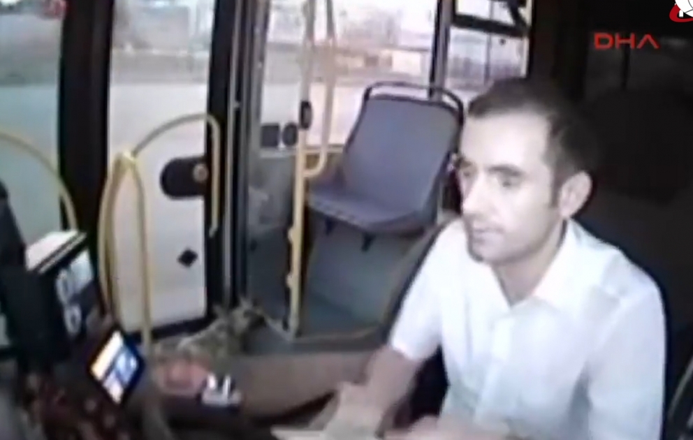 Avtobus sürücüsü maşın vuran iti xilas etdi