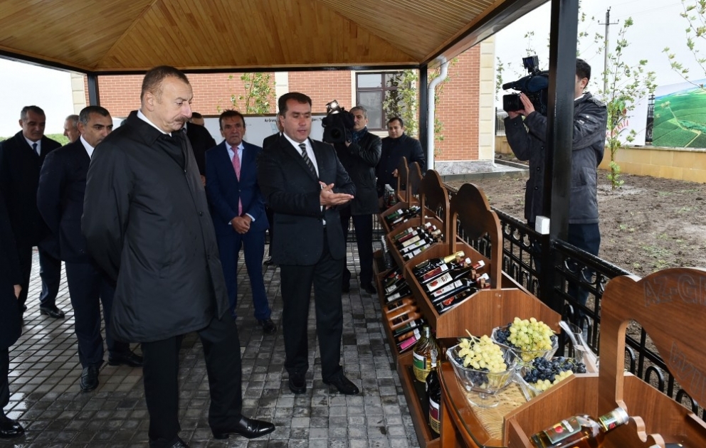 Staatspräsident Ilham Aliyev besucht Weingarten von GmbH “Az-Granata”
