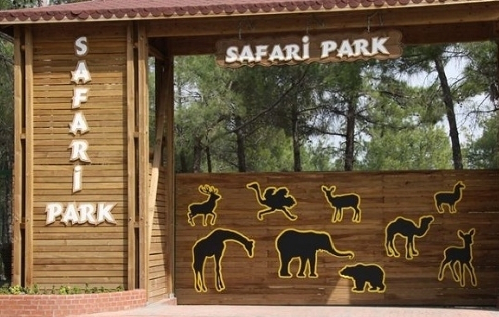 Safari Park in Schamachi