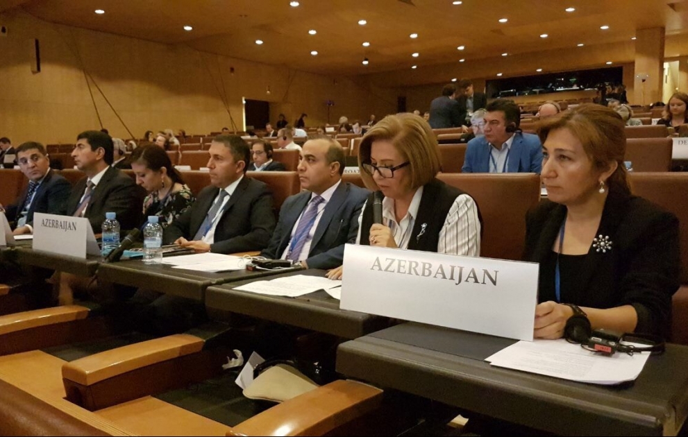 Milli Məclis sədrinin müavini erməni deputatları təxribat xarakterli bəyanatlardan çəkinməyə çağırıb