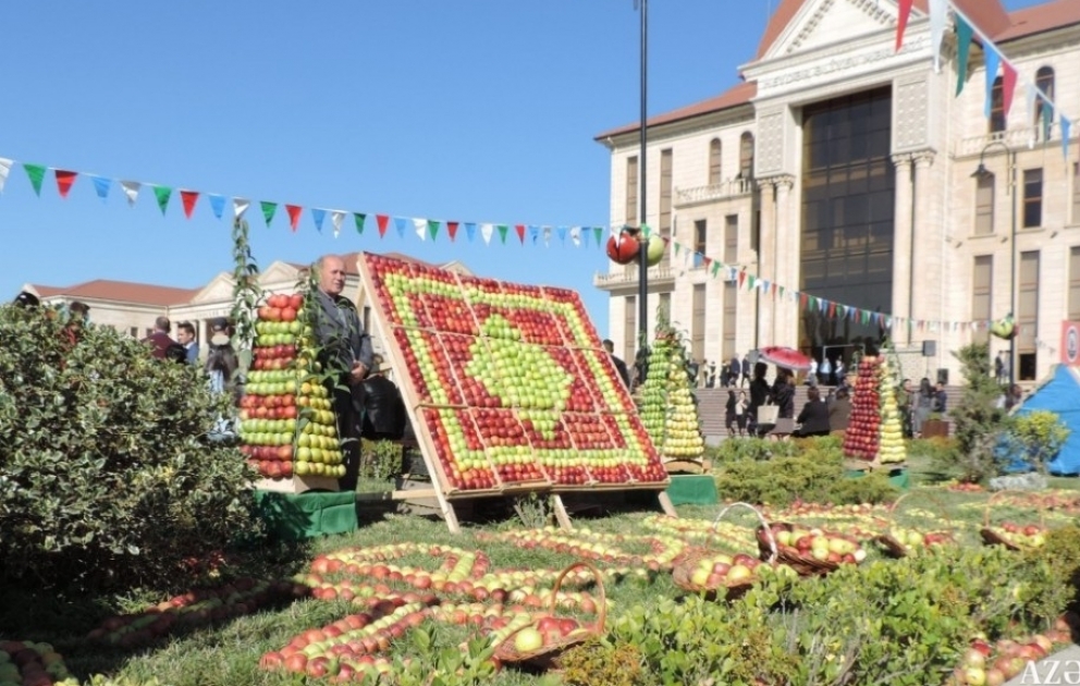 Qubada “Alma bayramı” və Xalça festivalı