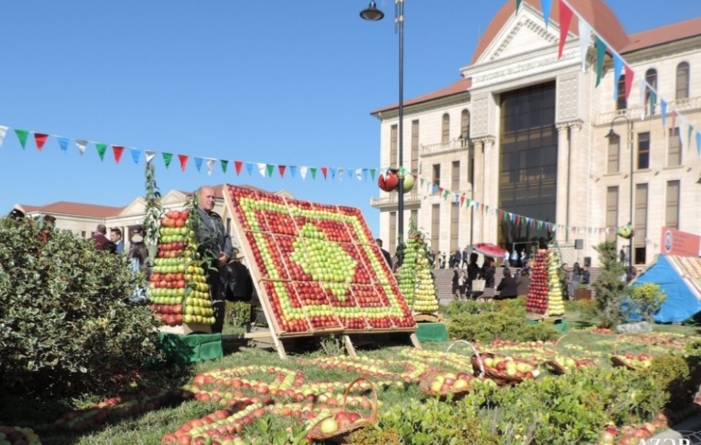 Фестиваль яблок и ковра в Губе