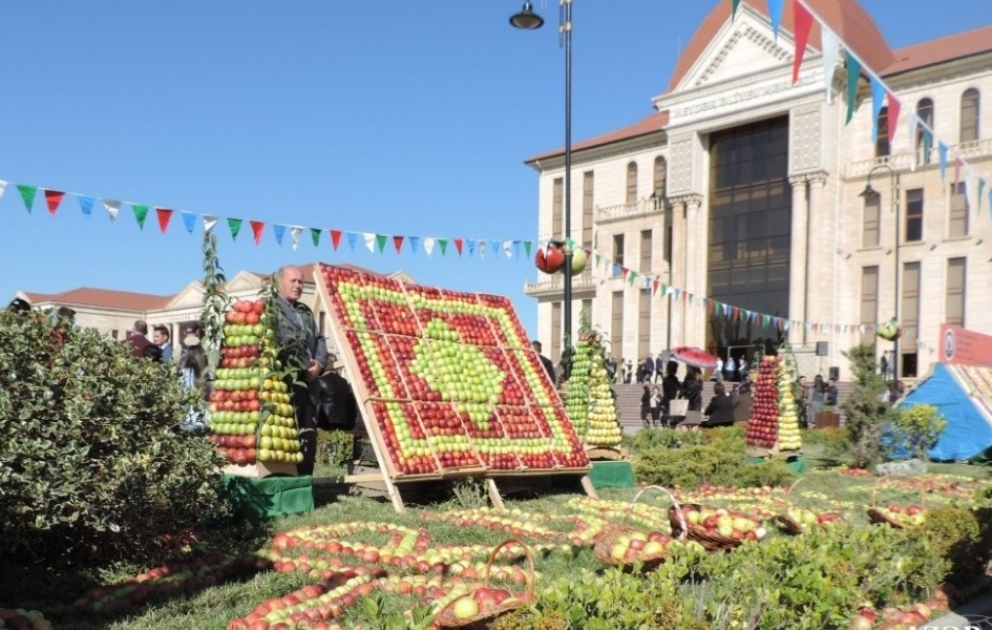 Fête de la pomme et le Festival du tapis à Gouba