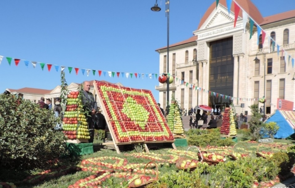 Guba hosts Apple  and Carpet festival