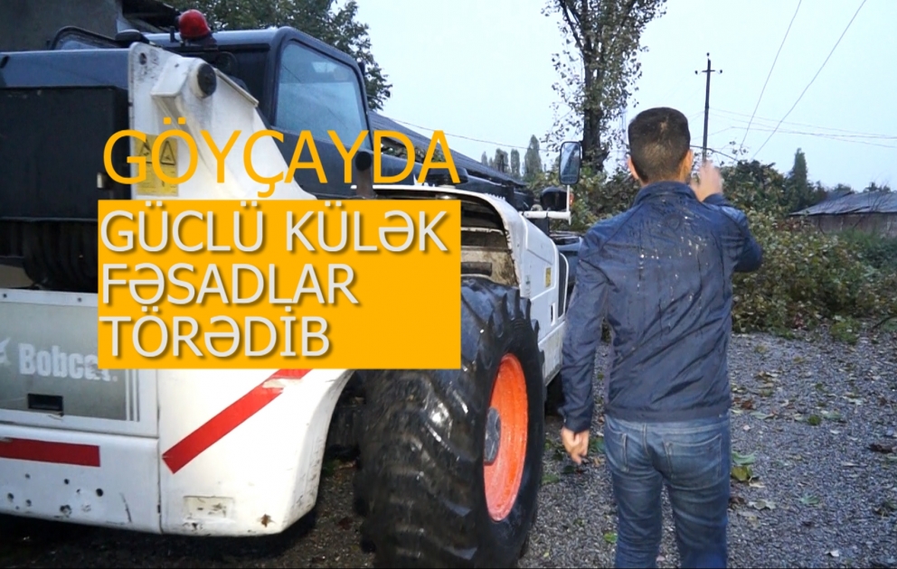Güclü külək Göyçayda fəsadlar törədib