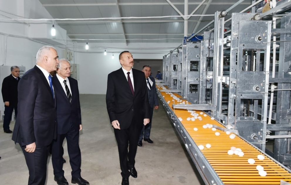 Sabirabad rayonunun Nizami kəndində quşçuluq fabrikinin fəaliyyəti ilə tanışlıq
