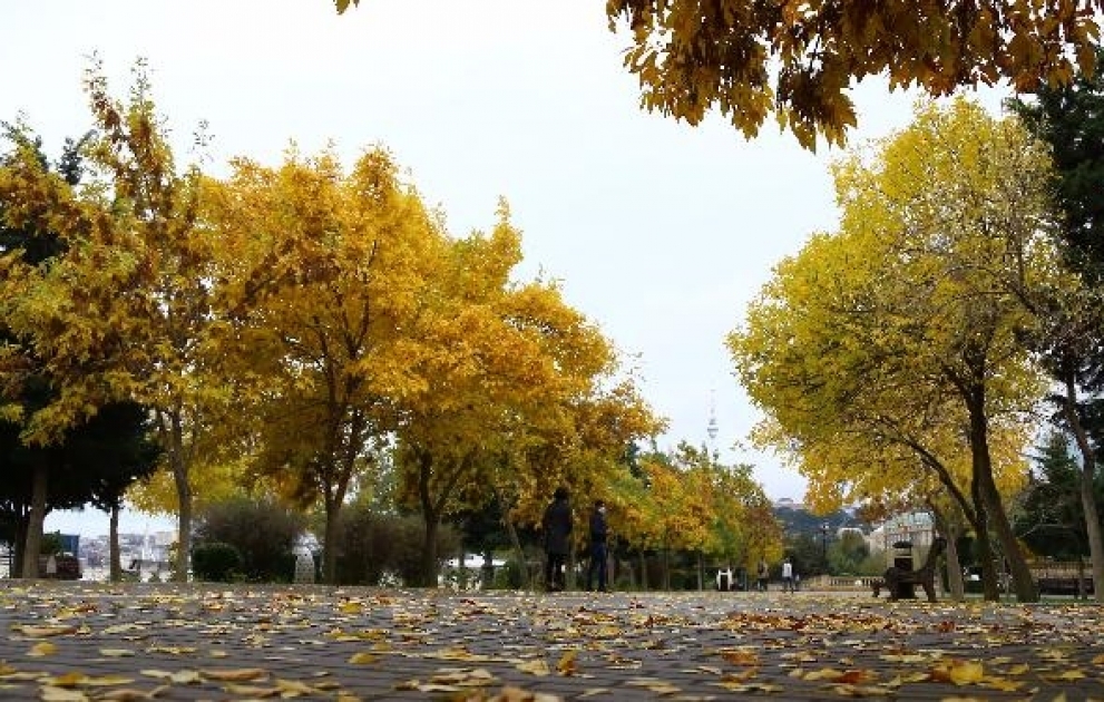Hava kəskin dəyişəcək - temperatur 6 dərəcə enəcək