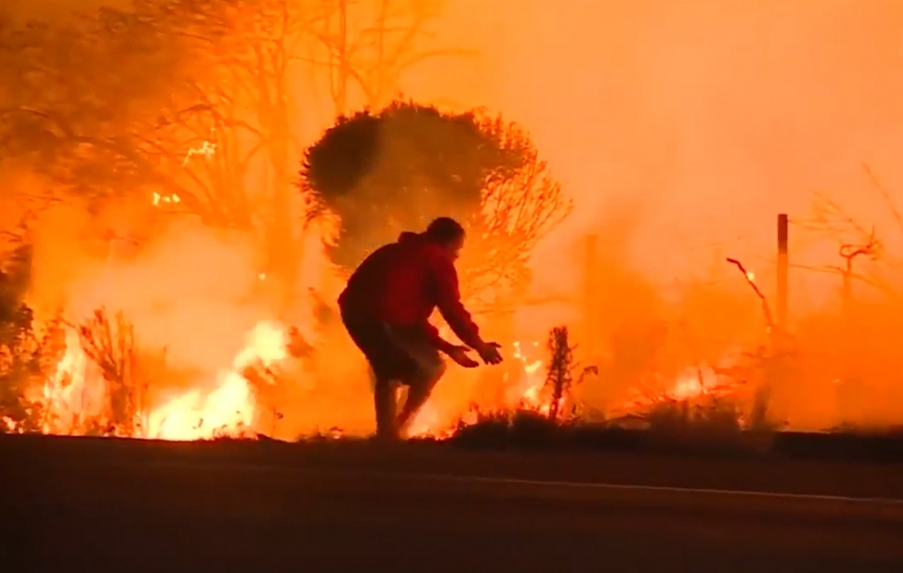 Video of man saving rabbit from California wildfire goes viral