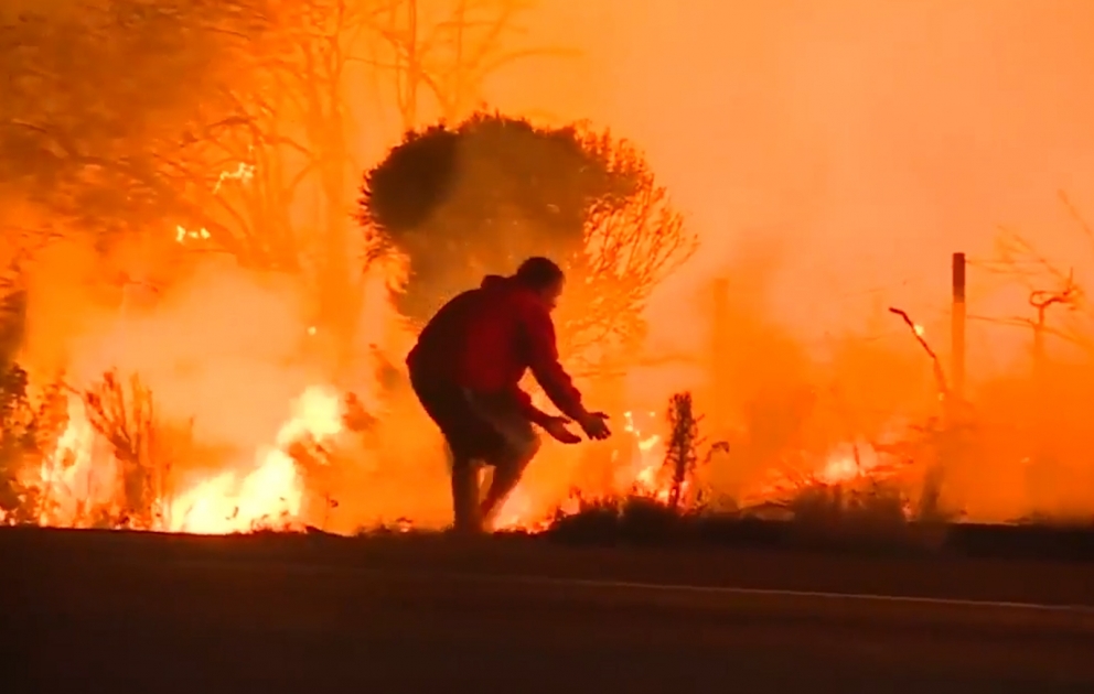 Cet homme sauve un lapin des flammes et devient un héros sur Internet