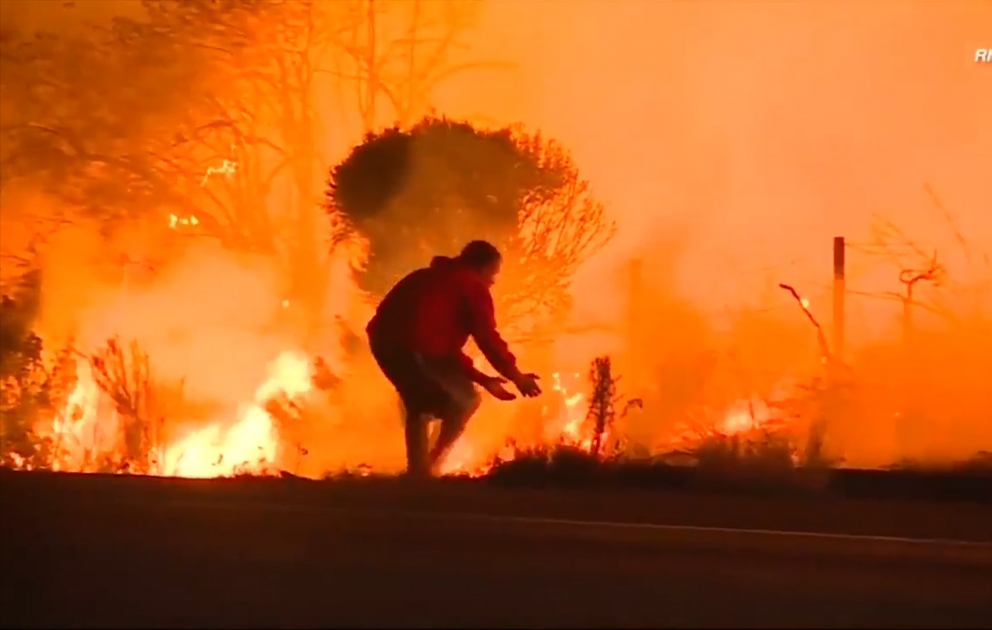 Kalifornien: Ein Mann rettet Hase vor den Flammen