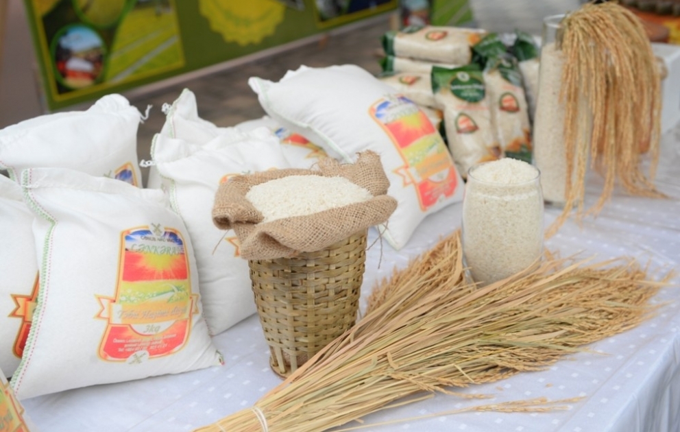 Lənkəranda “Çay, çəltik və sitrus festivalı” keçirilib