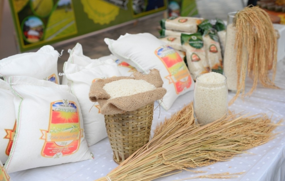 Lankaran hosts "Tea, rice and citrus festival"