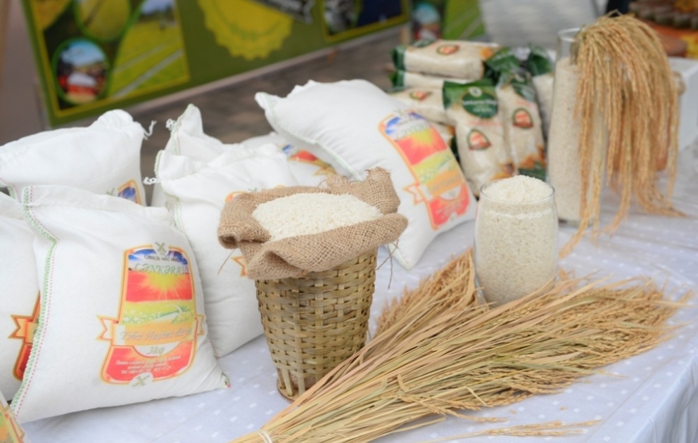 Lenkéran accueille un festival du thé, du riz et des agrumes