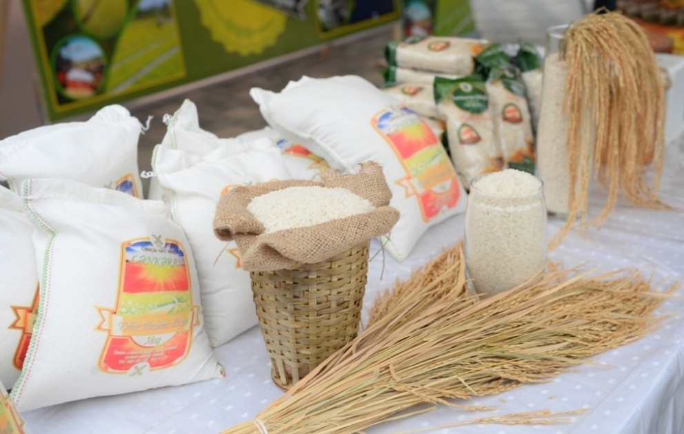 "Tee-, Reis- und Zitrusfestival" in Lenkoran