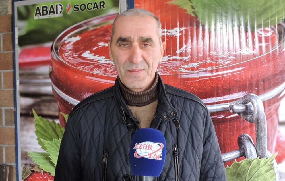 Balakənli istehsalçı: “ABAD”la əməkdaşlıq ailəmizin büdcəsinə daha çox gəlir gətirəcək
