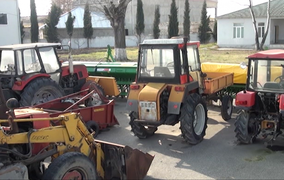 Torpaq mülkiyyətçiləri subsidiyalardan yararlanmaqla taxıl sahələrini artırırlar
