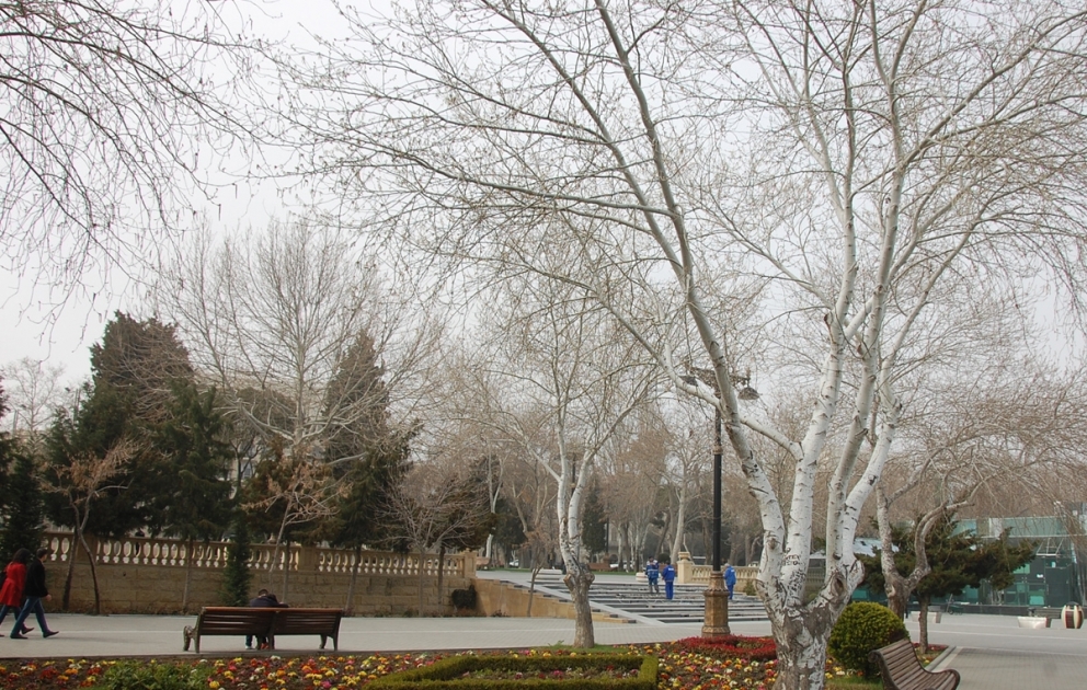 Şənbə günü ölkə ərazisində hava yağmursuz keçəcək