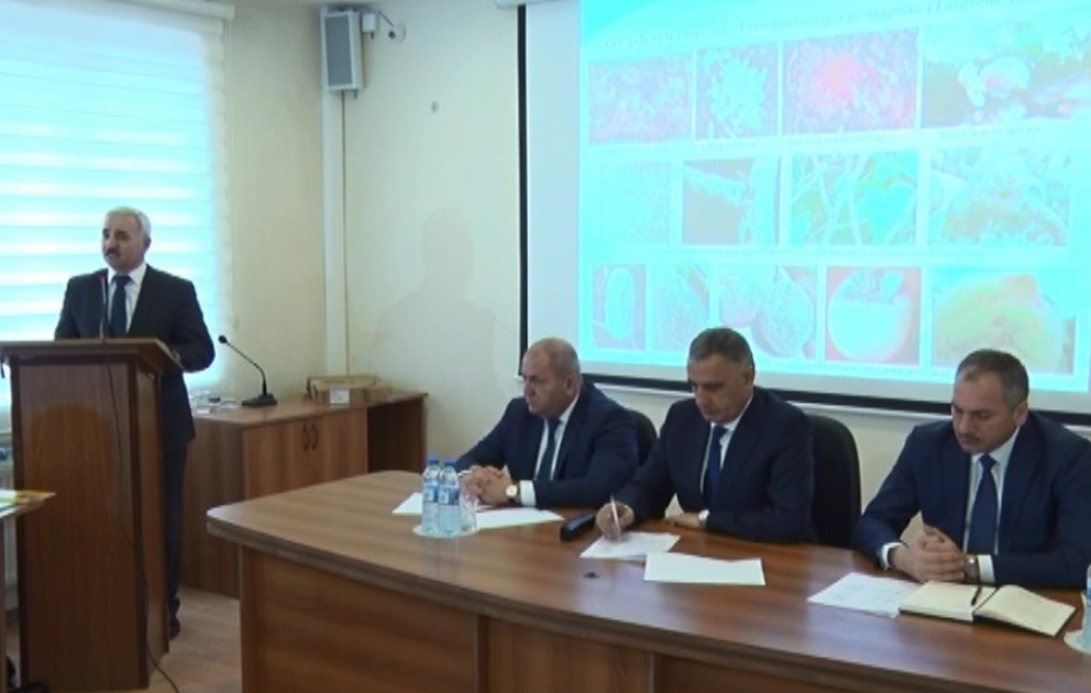 Quba-Xaçmaz bölgəsində fitosanitar vəziyyət təhlil olunub