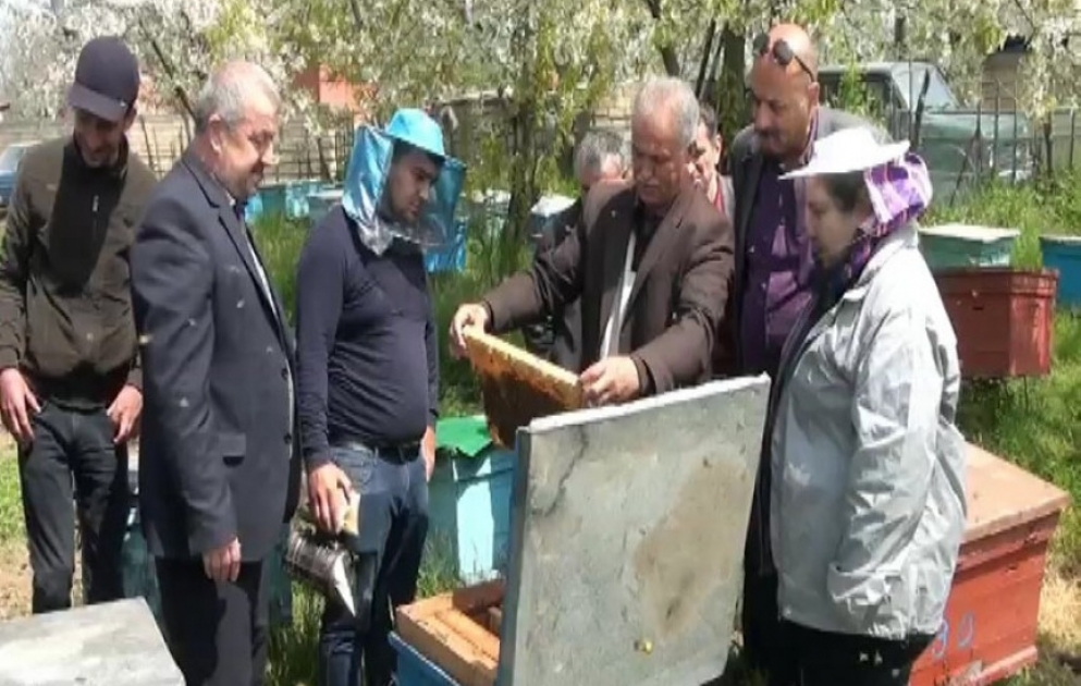 Türkiyəli mütəxəssislər astaralı arıçılarla təcrübə mübadiləsi aparıblar
